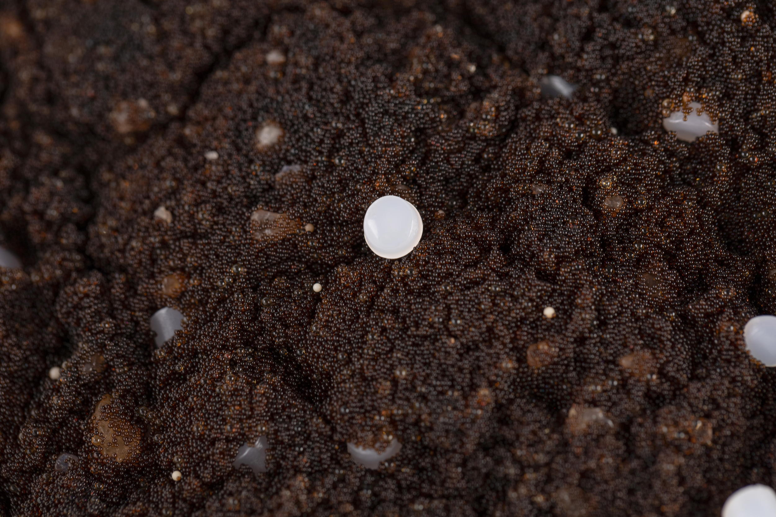 Загрузка Гейзер ЭКОТАР В 30 12л