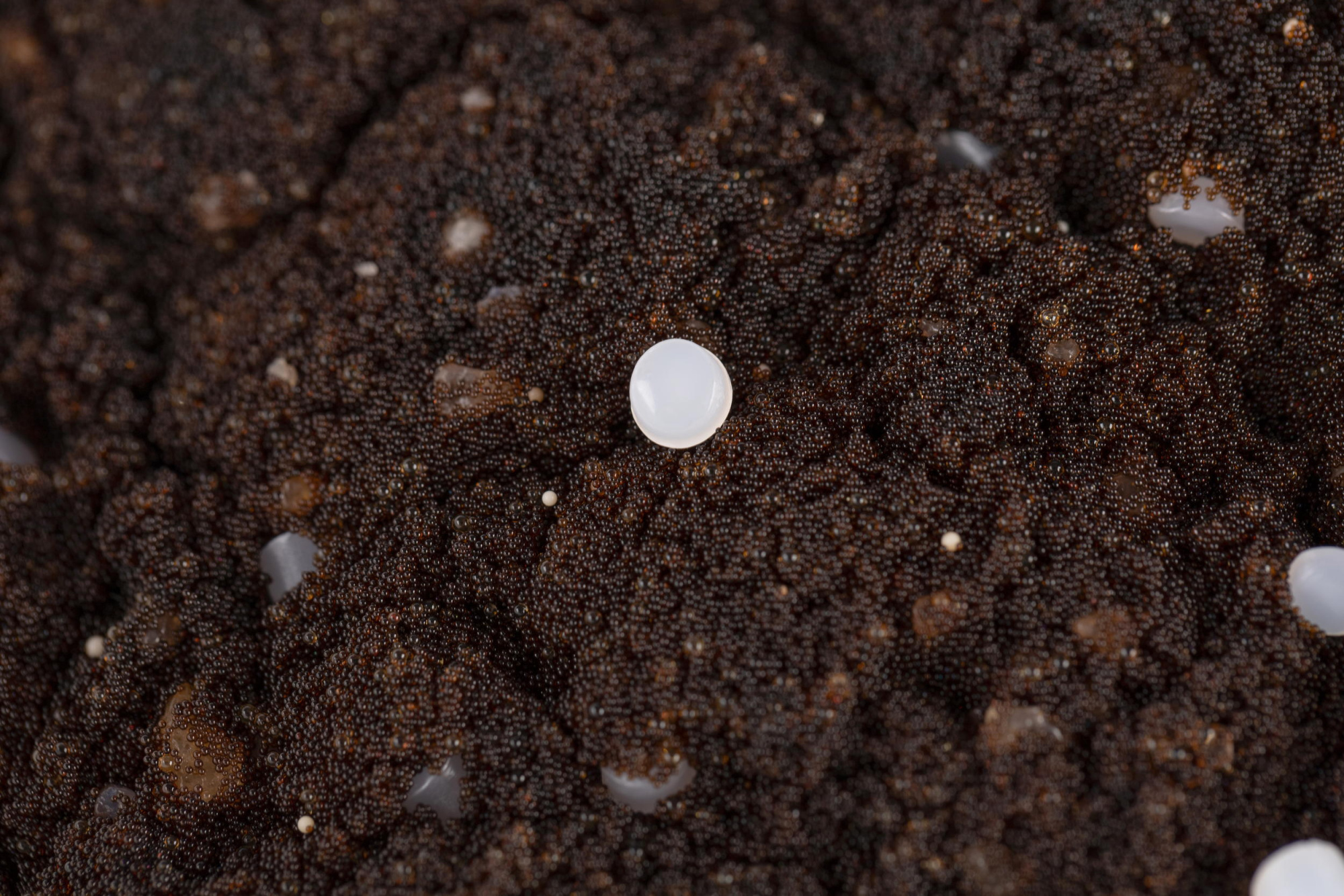 Загрузка Гейзер ЭКОТАР В 30 12л